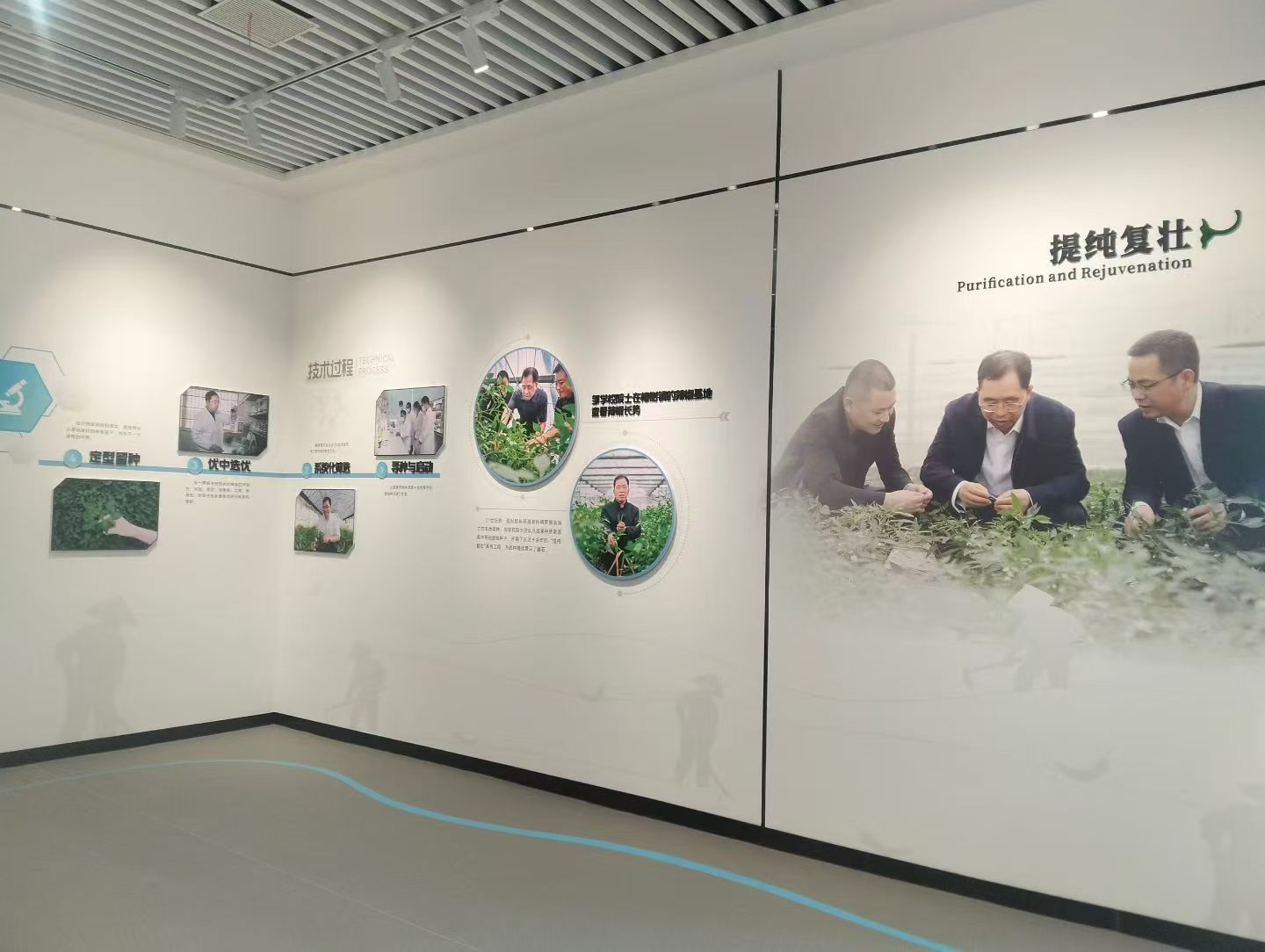 中国樟树港辣椒科普馆